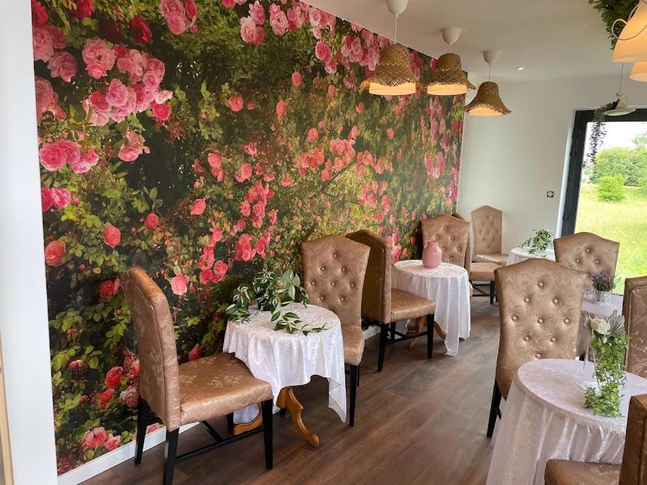 Basel Airport Garden Guest house Blotzheim